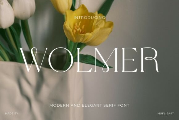 Wolmer: The Serif Font for Modern Elegance